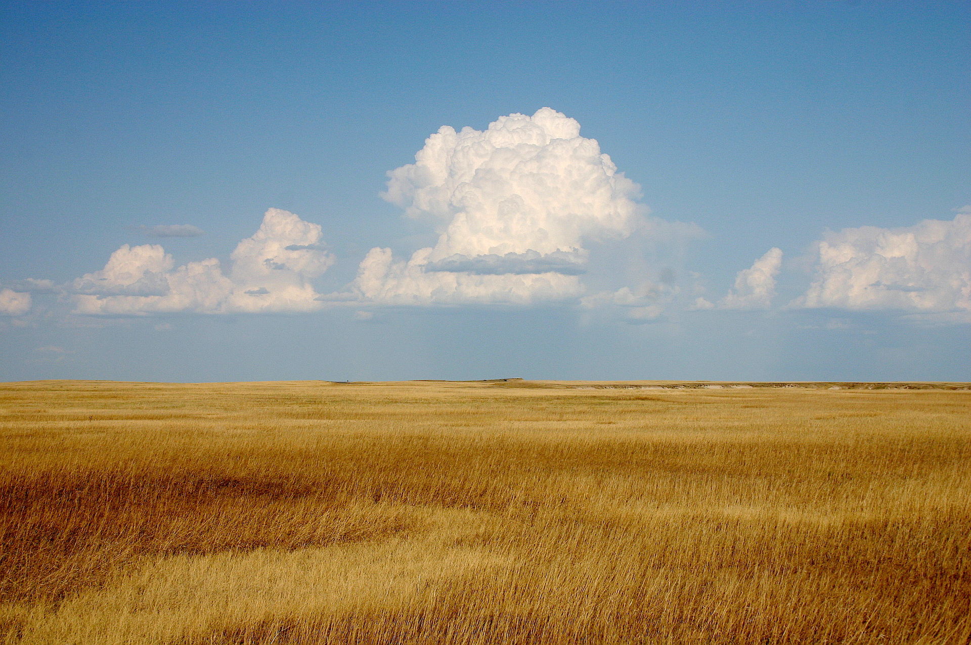 1920px-Cumulus_Clouds_over_Yellow_Prairie2.jpg
