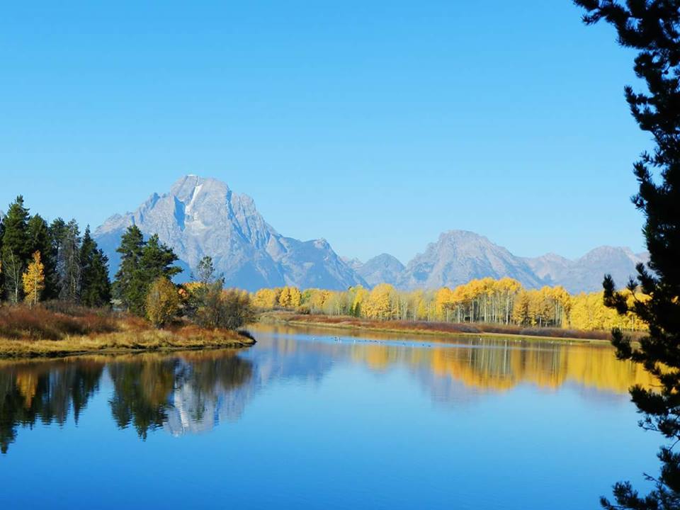 Oxbow Bend WY.jpg