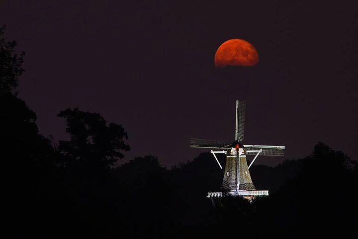 De Zwaan windmill in Holland captured by Karl Grundemann..jpg